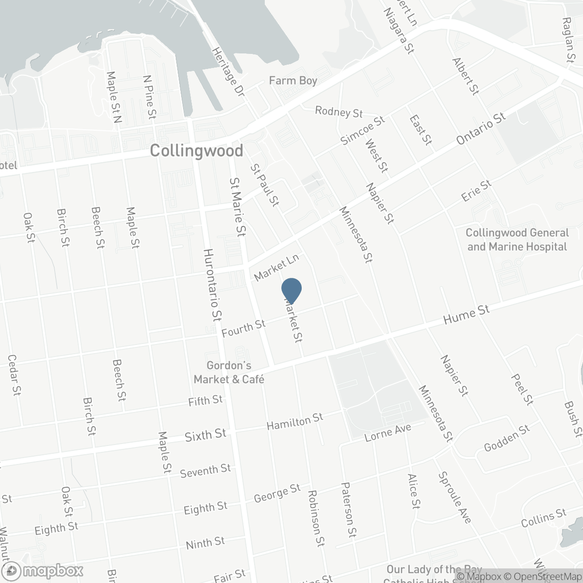 41 MARKET STREET, Collingwood, Ontario L9Y 3M5